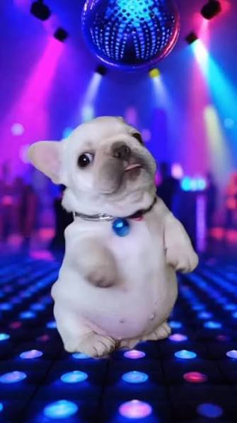 PibbleACO mascot